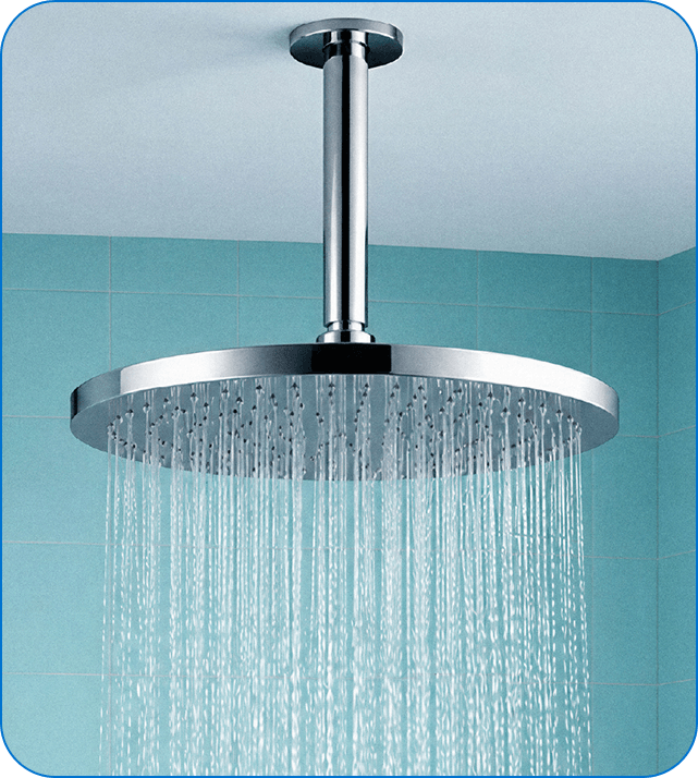 Ceiling Shower